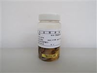 藏品(喜鵲)的圖片